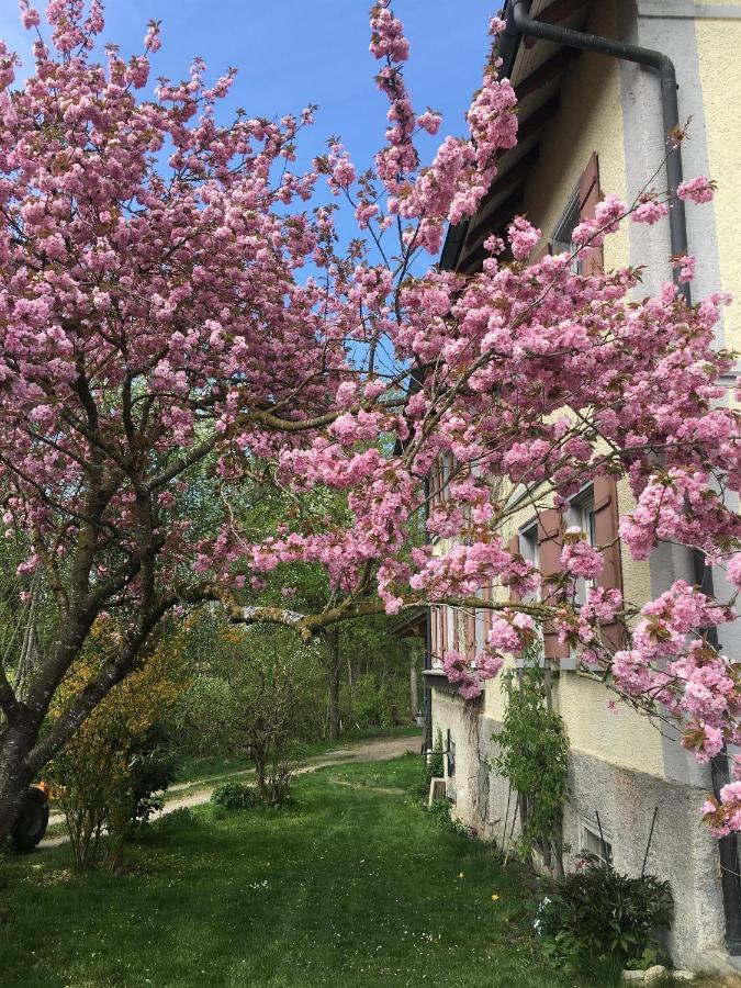 Ferienhof Weber Nieratz Wangen im Allgäu Eksteriør bilde