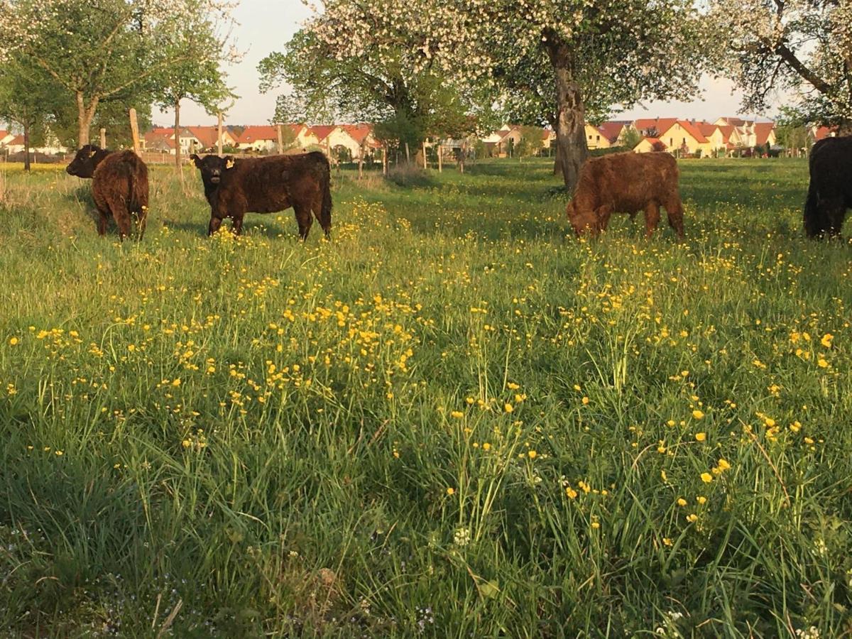 Ferienhof Weber Nieratz Wangen im Allgäu Eksteriør bilde