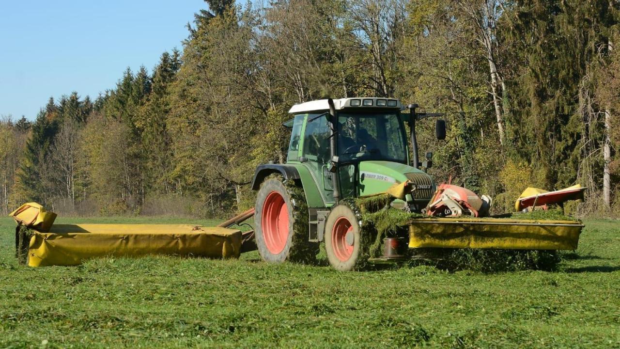 Ferienhof Weber Nieratz Wangen im Allgäu Eksteriør bilde