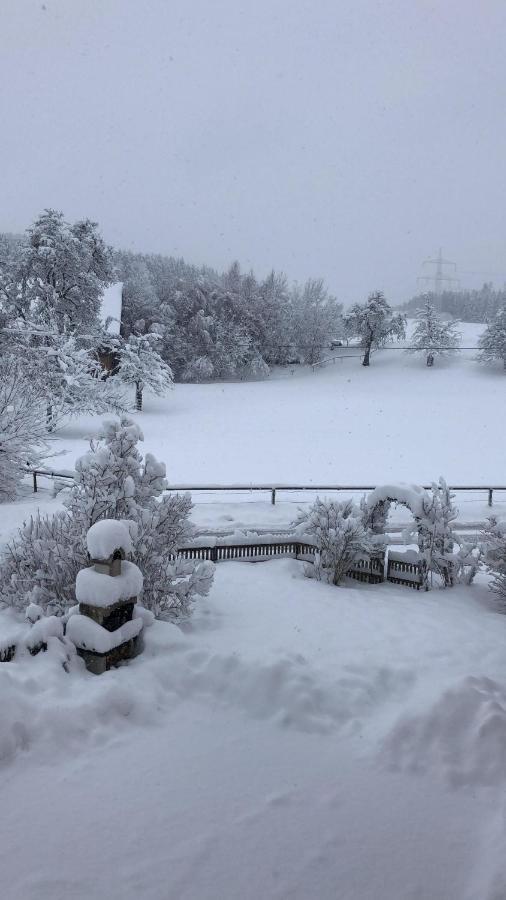 Ferienhof Weber Nieratz Wangen im Allgäu Eksteriør bilde