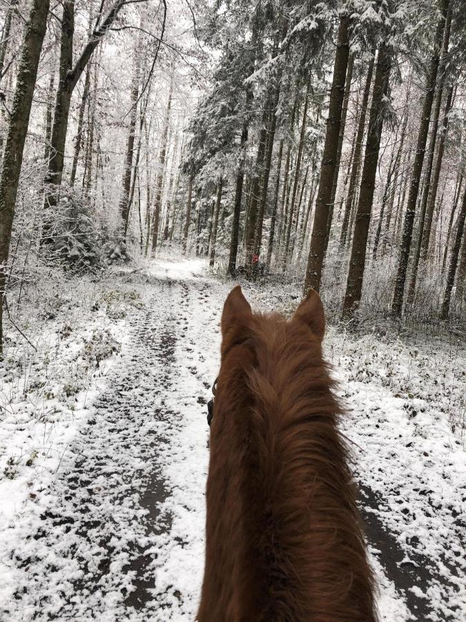 Ferienhof Weber Nieratz Wangen im Allgäu Eksteriør bilde